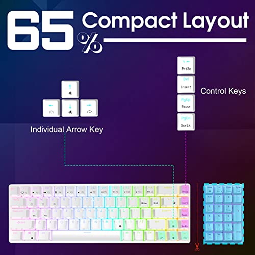 RK ROYAL KLUDGE RK68 (RK855) Wired 65% Mechanical Keyboard, RGB Backlit Ultra-Compact 60% Layout 68 Keys Gaming Keyboard, Hot Swappable Keyboard with Stand-Alone Arrow/Control Keys, Blue Switch, White