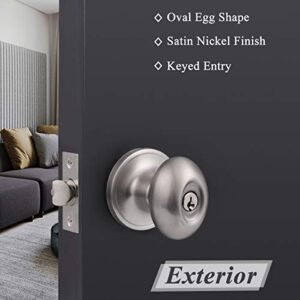 Probrico Keyed Entry Door Knobs with Lock & Keys Oval Egg Door Handles Brushed Nickel Finish Exterior Front Door Lockset Stainless Steel Fir for Entrance Door 1 Pack