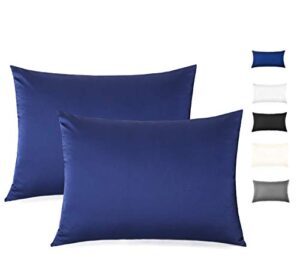 100% mulberry silk pillowcase for hair and skin, both side 19 momme silk with hidden zipper,2 pack (navy blue, standard)