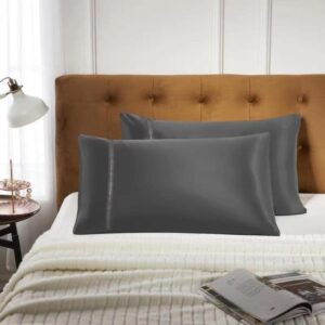 LEJIAN Silk Bedding Pillowcases - 2 Pack Standard Size(20X26 Inch) - Hemstitched Pillow Cases - Soft Silk Pillowcase with Envelope Closure, Grey