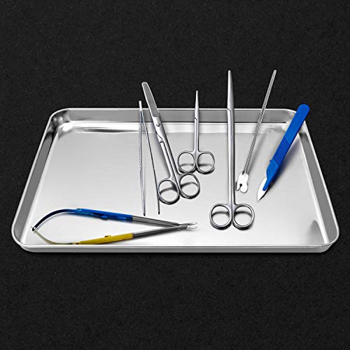 QWORK Stainless Steel Surgical Tray, for Medical Instruments, Tattoo, Surgical Supplies, 15 3/4"×11-13/16"×1", Flat Bottom Tray