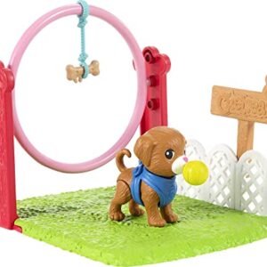 Barbie Chelsea Can Be Dog Trainer Playset with Blonde Chelsea Doll (6-in), Dog & Leash, Jumping Hoop, Obstacle Cones, Training Treats & More, Great Gift for Ages 3 Years Old & Up