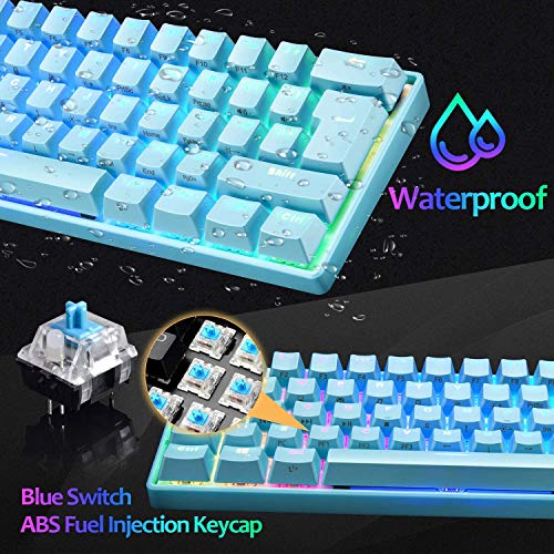 ZIYOU LANG MK21 Portable 60% Mechanical Gaming Keyboard Untra-Compact Type-c Wired with Light Up Chroma LED Backlit Non-Conflict 61 Key TKL Ergonomic for PS4 PS5 PC Mac Windows(Blue/Blue Switch)