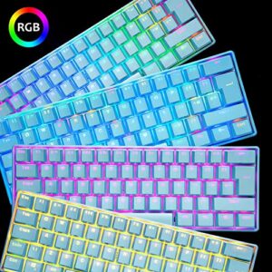 ZIYOU LANG MK21 Portable 60% Mechanical Gaming Keyboard Untra-Compact Type-c Wired with Light Up Chroma LED Backlit Non-Conflict 61 Key TKL Ergonomic for PS4 PS5 PC Mac Windows(Blue/Blue Switch)