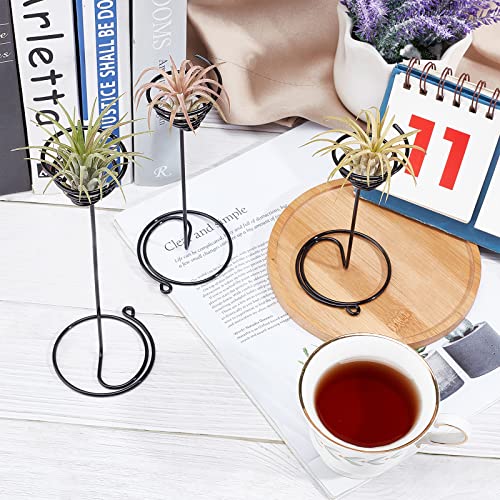 AHANDMAKER 6 Packs Airplant Planter Holder, 3 Sizes Air Plant Container Tillandsia Holder for Displaying Small Air Plant, Home Office Desktop Decoration