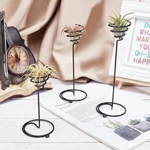 AHANDMAKER 6 Packs Airplant Planter Holder, 3 Sizes Air Plant Container Tillandsia Holder for Displaying Small Air Plant, Home Office Desktop Decoration