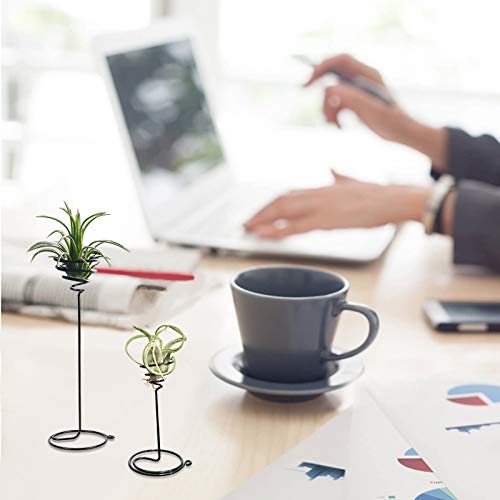 AHANDMAKER 6 Packs Airplant Planter Holder, 3 Sizes Air Plant Container Tillandsia Holder for Displaying Small Air Plant, Home Office Desktop Decoration