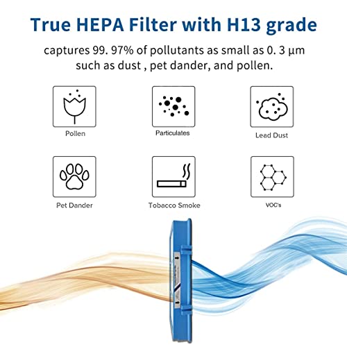 Aer1 Filter Replacement for Holmes Air Purifiers, 2 True HEPA Filters + 4 Carbon Booster Filters, HAPF30AT