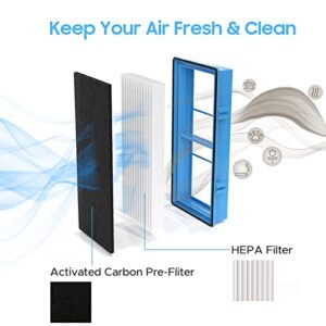 Aer1 Filter Replacement for Holmes Air Purifiers, 2 True HEPA Filters + 4 Carbon Booster Filters, HAPF30AT