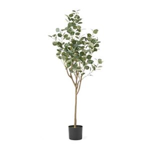 christopher knight home artificial plants, 5 ft x 2 ft, green + black