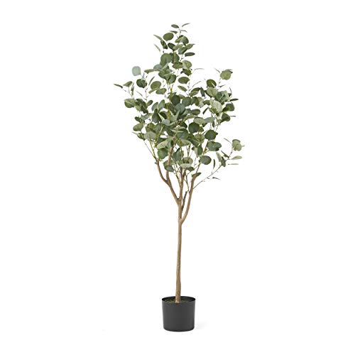 Christopher Knight Home Artificial Plants, 5 ft x 2 ft, Green + Black