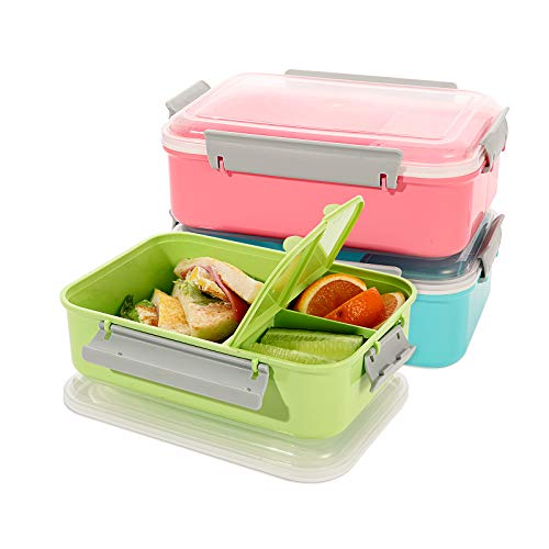 shopwithgreen 3 Pack Lunch Container to Go, 40-oz Bento Box with 3-Compartment, for Sandwich, Fruit, Lunch, Snacks, Pasta, School & Travel - Meal Prep, Food Storage Containers with Lids