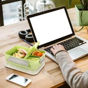 shopwithgreen 3 Pack Lunch Container to Go, 40-oz Bento Box with 3-Compartment, for Sandwich, Fruit, Lunch, Snacks, Pasta, School & Travel - Meal Prep, Food Storage Containers with Lids