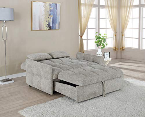 Coaster Furniture Cotswold Tufted Cushion Sleeper Sofa Bed Beige Sofa Bed 508307