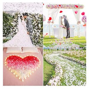 KnR Harmony Rose Flower Petals White 1200pcs Silk Petals for Wedding Romantic Night Table Confetti Valentine's Day Decoration