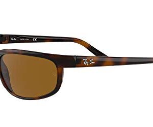 Ray-Ban Men's RB2027 Predator 2 Rectangular Sunglasses, Dark Havana/B-15 Brown, 62 mm