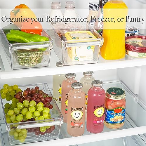 Kitchen Details 2 Pack Medium Refrigerator Storage Bin | Fridge & Freezer | Kitchen Organization | Stainless Steel Handle | Countertop | Cabinets | Pantry | Clear