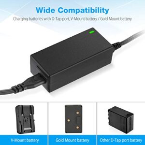 Powerextra V Mount/V Lock Battery 6600mAh and D-Tap Charger Compatible with Sony Camera Camcorder Broadcast