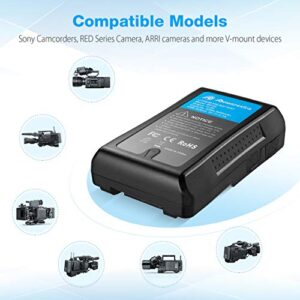 Powerextra V Mount/V Lock Battery 6600mAh and D-Tap Charger Compatible with Sony Camera Camcorder Broadcast