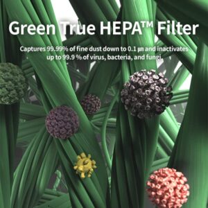 Coway Airmega 150 Air Purifier Replacement Filter Set, Green True HEPA and Active Carbon Filter, AP-1019C-FP