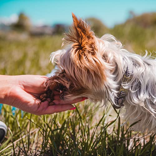 Pupford Freeze Dried Dog Training Treats, 475+ Puppy & Dog Treats, Low Calorie, Vet Approved, All Natural, Healthy Training Treats for Small to Large Dogs (Rabbit)