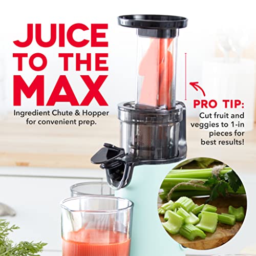 DASH Deluxe Compact Masticating Slow Juicer, Easy to Clean Cold Press Juicer with Brush, Pulp Measuring Cup, Frozen Attachment and Juice Recipe Guide - Aqua