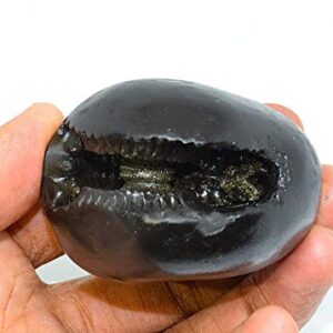 RUDRADIVINE Stone Laxmi Narayan Shaligram (Black)