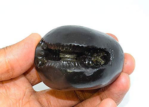 RUDRADIVINE Stone Laxmi Narayan Shaligram (Black)