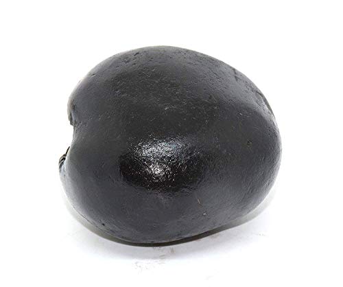 RUDRADIVINE Stone Laxmi Narayan Shaligram (Black)