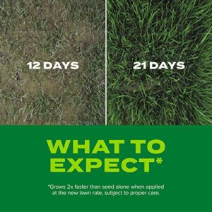 Scotts Turf Builder Rapid Grass Sun & Shade Mix, Combination Seed and Fertilizer, Grows Green Grass in Just Weeks, 16 lbs.