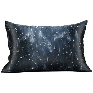 mansphil black galaxy stars print mulberry silk pillowcase standard, both side 22 momme 100% silk pillow cases cover with hidden zipper, hypoallergenic beauty care for hair and skin, 20" x 26"