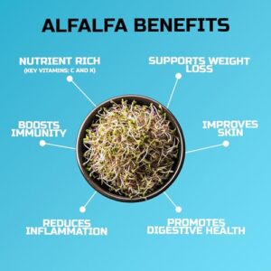 Alfalfa Sprouting Seed | Non GMO | Grown in USA | from Our Farm to Your Door (1 Pound (16oz))