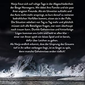 Wie ein Flüstern in der Nacht: Norwegen-Thriller (German Edition)