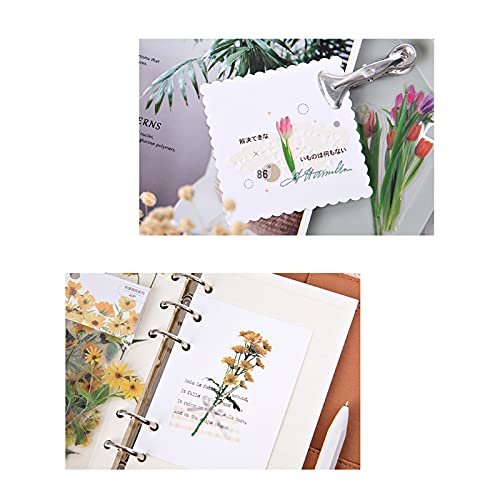 MAXLEAF 240PCS Vintage Plants Flowers Daisy PET Transparent Stickers for Decoration Planners Scrapbook Laptops (Dark Flower)