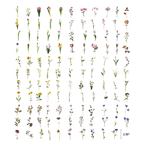 MAXLEAF 240PCS Vintage Plants Flowers Daisy PET Transparent Stickers for Decoration Planners Scrapbook Laptops (Dark Flower)