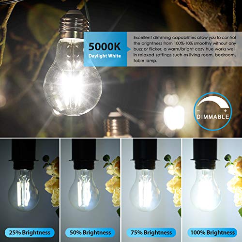 TOBUSA LED A19 Dimmable Light Bulbs 100W Equivalent, Vintage E26 Edison Bulbs 8W 1200LM, 5000K Daylight White, Clear Antique LED Filament Bulb for Home, Bathroom, 6-Pack