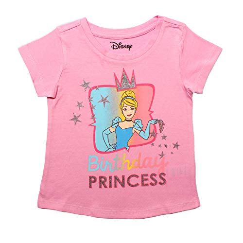 Disney Princess Cinderella Girl's Birthday Blouse Tee Shirt, Scoop Neck Pink