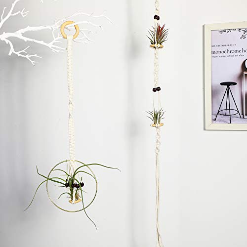 4 Pieces Hanging Air Plant Holders Tassel Plant Hanger Fabric Woven Hanging Plant Holder Decorative Air Plant Hanger with 4 Pieces Hooks for Home Plant Decoration (Beige)
