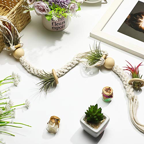 4 Pieces Hanging Air Plant Holders Tassel Plant Hanger Fabric Woven Hanging Plant Holder Decorative Air Plant Hanger with 4 Pieces Hooks for Home Plant Decoration (Beige)