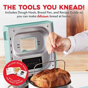 Dash Everyday Stainless Steel Bread Maker, Up to 1.5lb Loaf, Programmable, 12 Settings + Gluten Free & Automatic Filling Dispenser - Aqua