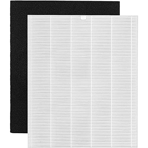 isinlive Replacement Filter Compatible with Winix C545, P150, B151, Replaces Winix Filter S 1712-0096-00, 2 H13 Ture HEPA Filter + 8 Carbon Filters