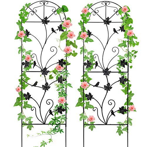 2 Packs 64"x17" Metal Garden Trellis for Climbing Plants Rustproof Sturdy Black Iron Trellis Plants Support Outdoor for Climbing Vegetable Rose Potted Plants Flower Cucumber Clematis