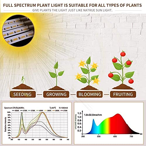 bseah Grow Light Plant Lights for Indoor Plants, Full Spectrum Plant Grow Lights, 10 Dimmable Levels Auto ON & Off with 3/9/12H Timer