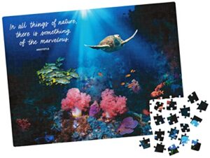 300-piece calm jigsaw puzzle for relaxation, stress relief, and mood elevation, for adults and kids ages 8 and up, calm coral