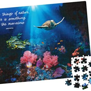 300-Piece Calm Jigsaw Puzzle for Relaxation, Stress Relief, and Mood Elevation, for Adults and Kids Ages 8 and up, Calm Coral