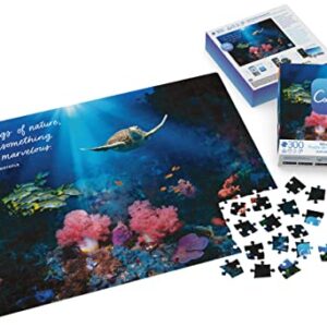 300-Piece Calm Jigsaw Puzzle for Relaxation, Stress Relief, and Mood Elevation, for Adults and Kids Ages 8 and up, Calm Coral