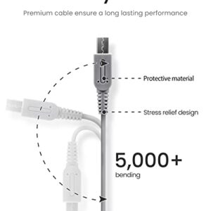 VOYEE 3DS Charger Compatible with Nintendo 3DS/ DSi/DSi XL/ 2DS/ 2DS XL/New 3DS XL 100-240V Wall Plug Adapter