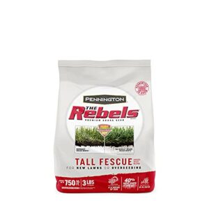 pennington the rebels tall fescue grass seed blend, 3 pounds