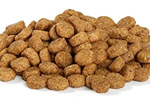 Amazon Brand - Wag Dry Dog Puppy Food, Chicken and Brown Rice, 5 lb