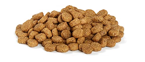 Amazon Brand - Wag Dry Dog Puppy Food, Chicken and Brown Rice, 5 lb